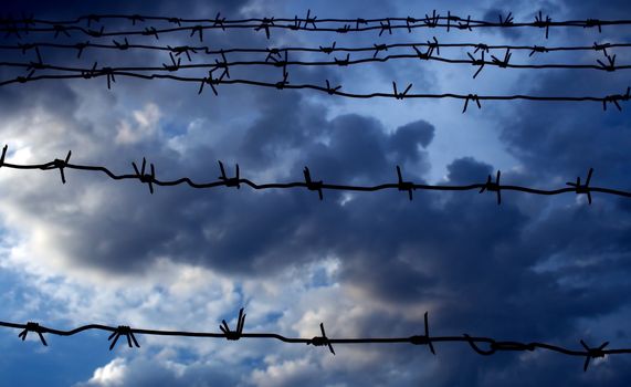 Barbed wire against the dark blue sky