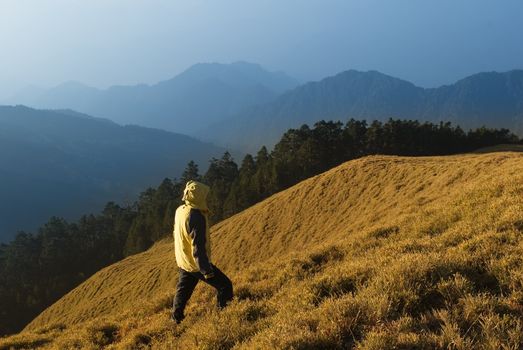 A man watch toward the mountain with golden grassland.