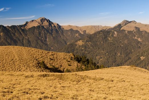 Mountain landscape with golden grassland in the morning.