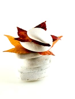 white off beach stones with red fall  leaves on white
