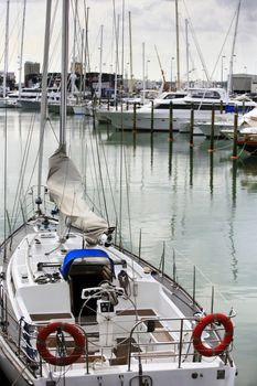 Tall luxury boats and yachts moored in harbour. Port in Auckland, New Zealand