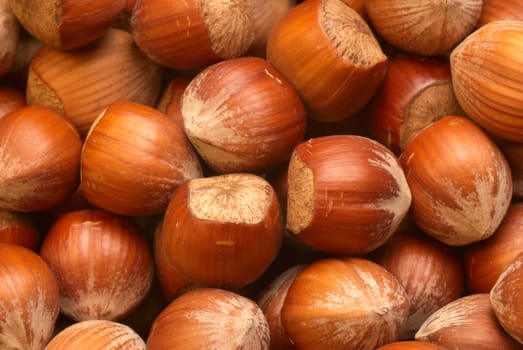 A stack of fresh unshelled hazelnuts, food background