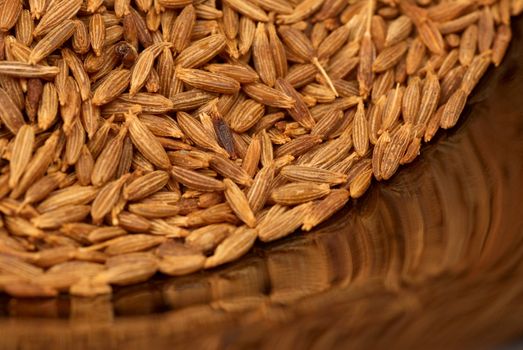 Cumin seedsdisplayed on a reflective plate