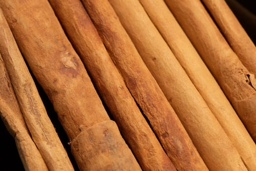 Several fresh cinnamon sticks, food background picture