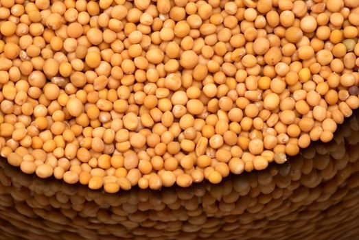 Many mustard seeds displayed on a reflective plate