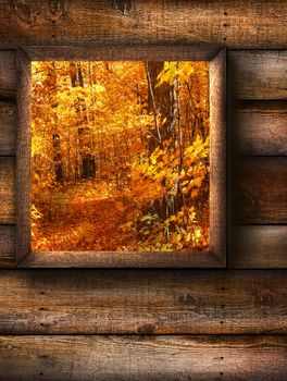 Fall landscape view through a pine window