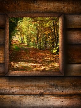 Fall landscape view through a pine window