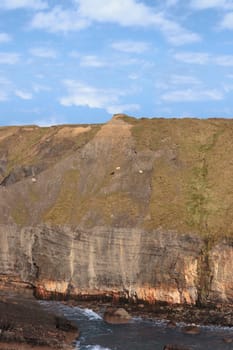 a view of goats on the cliffs in ballybunion ireland