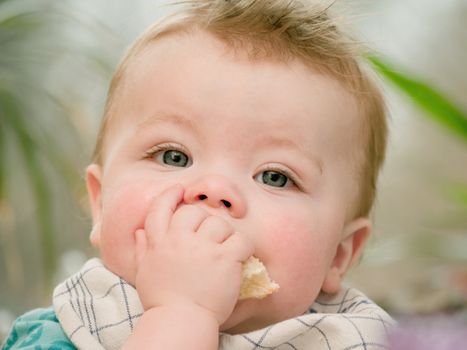 Portrait of a cute young baby boy  eating