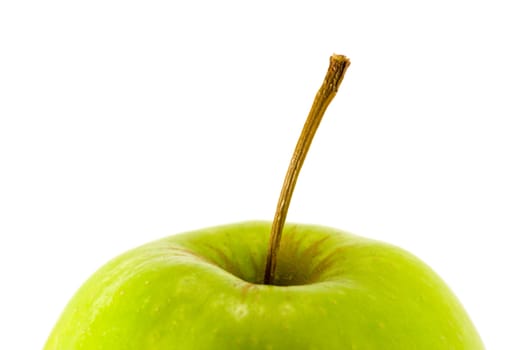 Green apple top with stalk on a white background