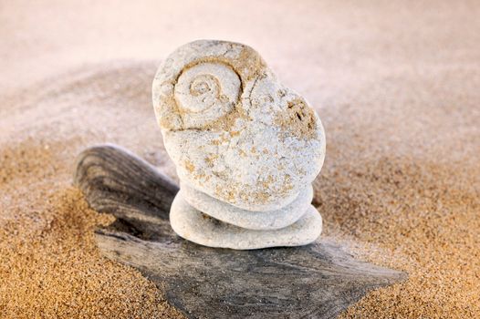 White stone with a textured marine snail