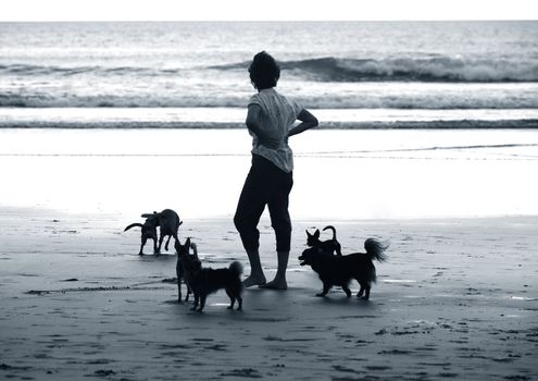 Lady with dogs on a coast of ocean