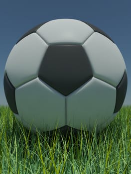 Soccer ball in the grass against the blue sky