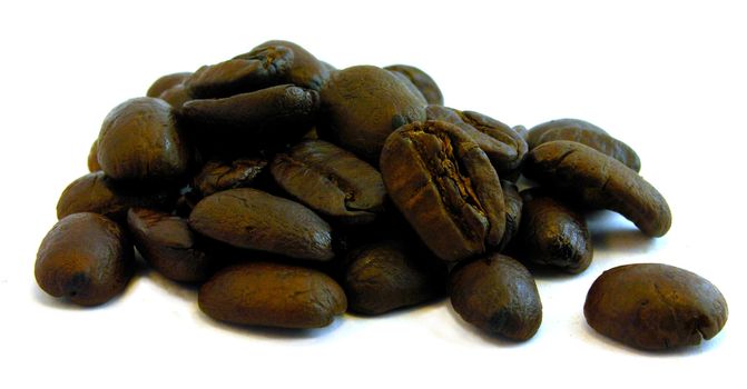 Freash Roasted Coffee       