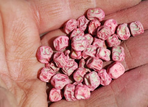 Close-up of a pea seed in a hand.