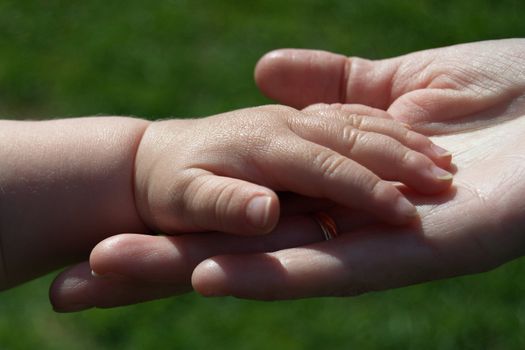 Hands of mother and child.