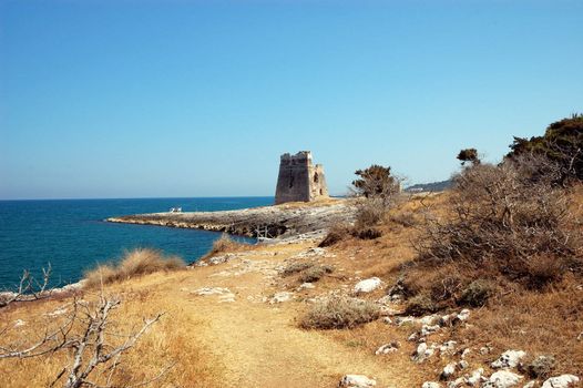 trail to the tower ruin, Vieste, Apulia, Italy