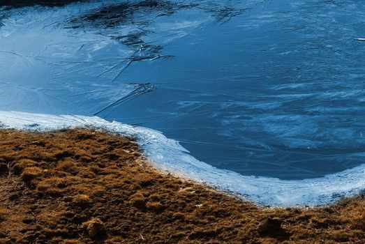 Beautiful strange iced pond surface and grass.