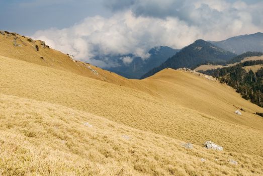 Fall landscape of golden grassland in high mountain.