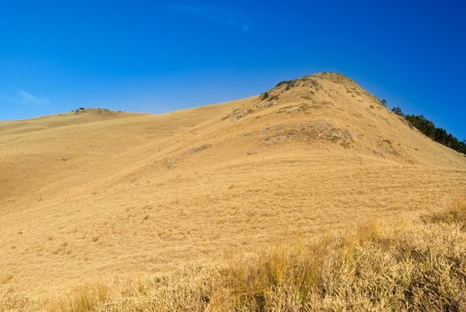 Mountain landscape with golden grassland in the morning.