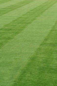Striped grass on a baseball field