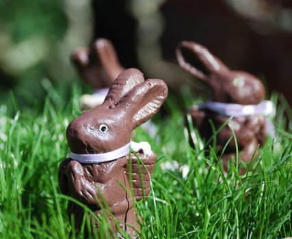 Three Easter bunny figurines in green grass on a sunny day.