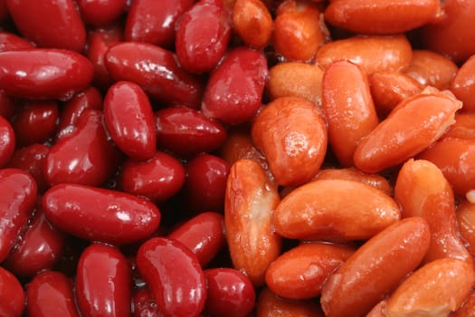 Dark and light kidney beans background