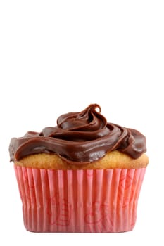 A Isolated cupcake with chocolate frosting