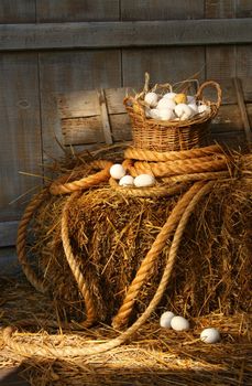 Basket of eggs on a bale of hay in the barn