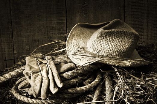 Straw hat with gloves on a bale of hay in barn
