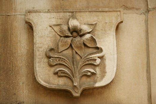 A shield with flower