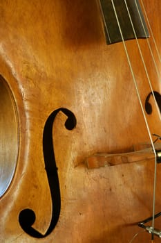 Closeup of a standup bass guitar