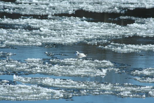 A Frozen river with icy patches