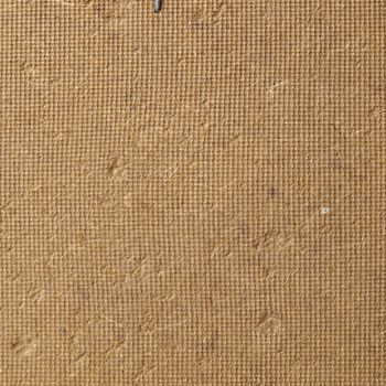 Detail of a wood plank board background