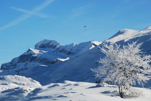 Here is a landscape in the pyrenees, in France, especially in El Formigal. Thee is a tree and in the background mountains and someone who practice the ski parachute.