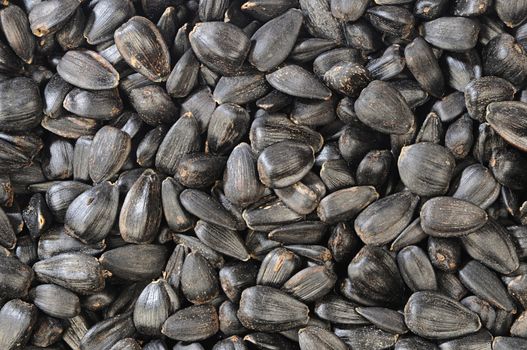 sunflower seed texture. black color background, horizontal, close-up