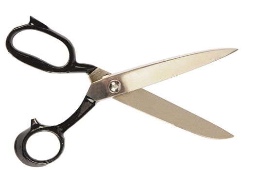 isolated sartorial steel scissors