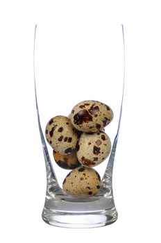 quail eggs in isolated glass on white background