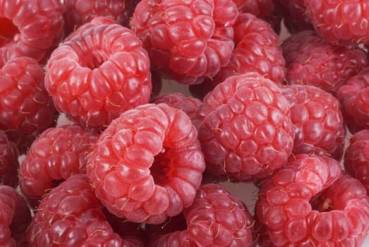 Close up of some ripe and juicy raspberries.