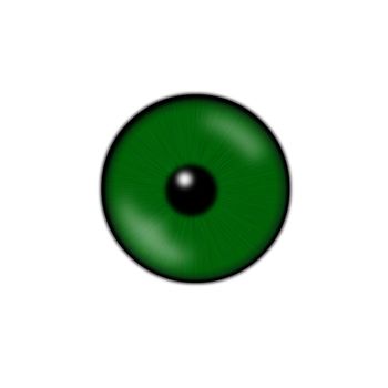 green eyeball isolated on a white background