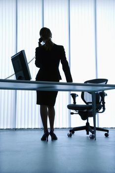 Silhouette of Caucasian businesswoman standing at computer desk on telephone.