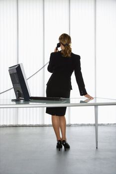 Back view of Caucasian businesswoman standing at computer desk on telephone.