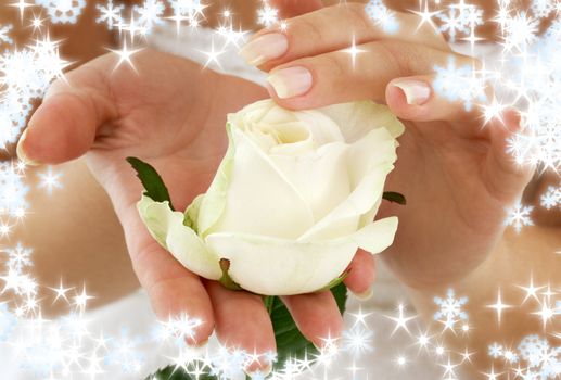 beautiful woman hands with rosebud and snowflakes