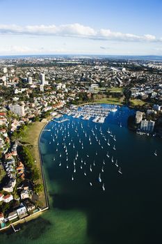 Aerial view of buildings and boats in Rushcutters Bay, Australia.