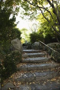 Stone stairs in outdoor garden in Sydney, Australia.