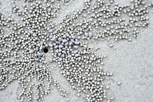 Close up of small pebbles and hole in sand made by crab in Daintree Rainforest, Australia.