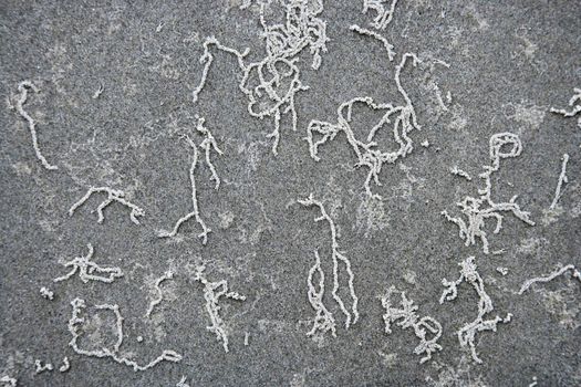 Squiggly lines in sand in Daintree Rainforest, Australia.