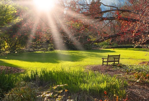 Bench in the park at Sunset With Bright Sunlight