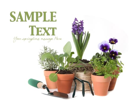 Happy Spring Time Herb Gardening on White Background With Copy Space for Your Text