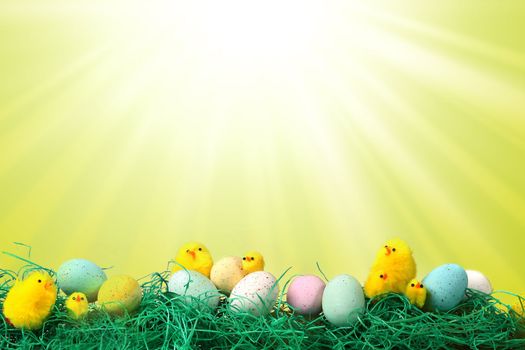 Fun Easter Holiday Image With Chicks Eggs and Grass Against Starburst Pattern Background